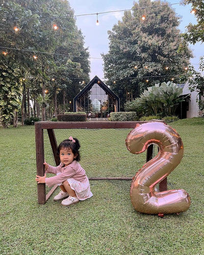 Rose Gold Number 2 Balloon - 40 Inch Birthday Decoration for Second Birthday Party Supplies