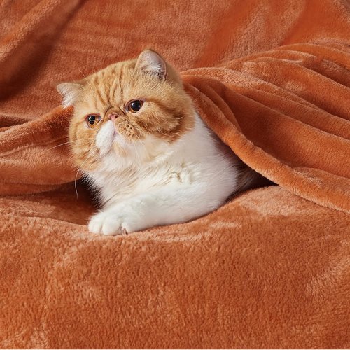 Bedsure Burnt Orange Throw Blanket - Soft, Lightweight Fleece Blanket for Bed, Sofa & Travel | Twin Size, 300GSM