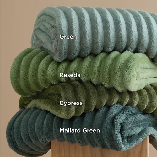 Bedsure GentleSoft Fleece Blanket - Cozy Sage Green Throw for Bed, 120x120 Inches, Perfect for Women & Girls