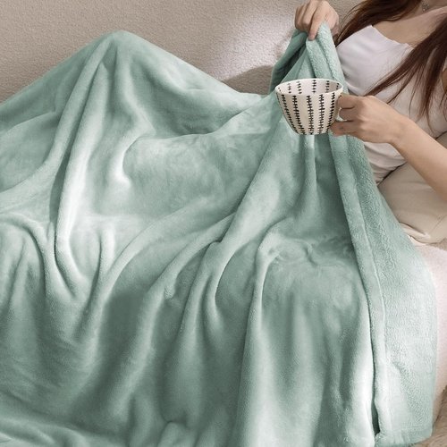 Bedsure GentleSoft Fleece Throw Blanket - 300GSM Soft Sage Green Plush Cozy Blanket for Home & Travel