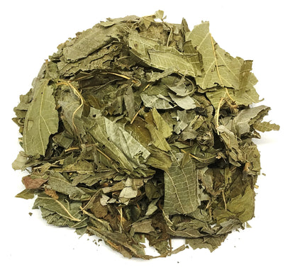 Nuestra Salud Matico Tea - Herbal Tea Leaf from Peru (30g) in a Zip-Lock Bag - 100% Natural and Caffeine Free Leaves