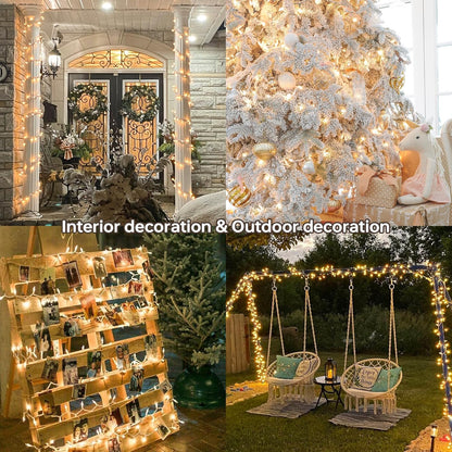 Regine Switzerland 100 Count Clear Christmas Lights - 23 Feet Connectable Indoor/Outdoor Mini String Lights | Warm White