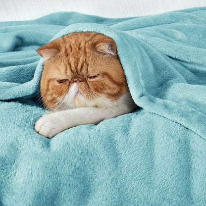 Bedsure GentleSoft Fleece Throw Blanket - Cozy Lightweight Plush Blanket for Couch, River Blue, 50x70 Inches