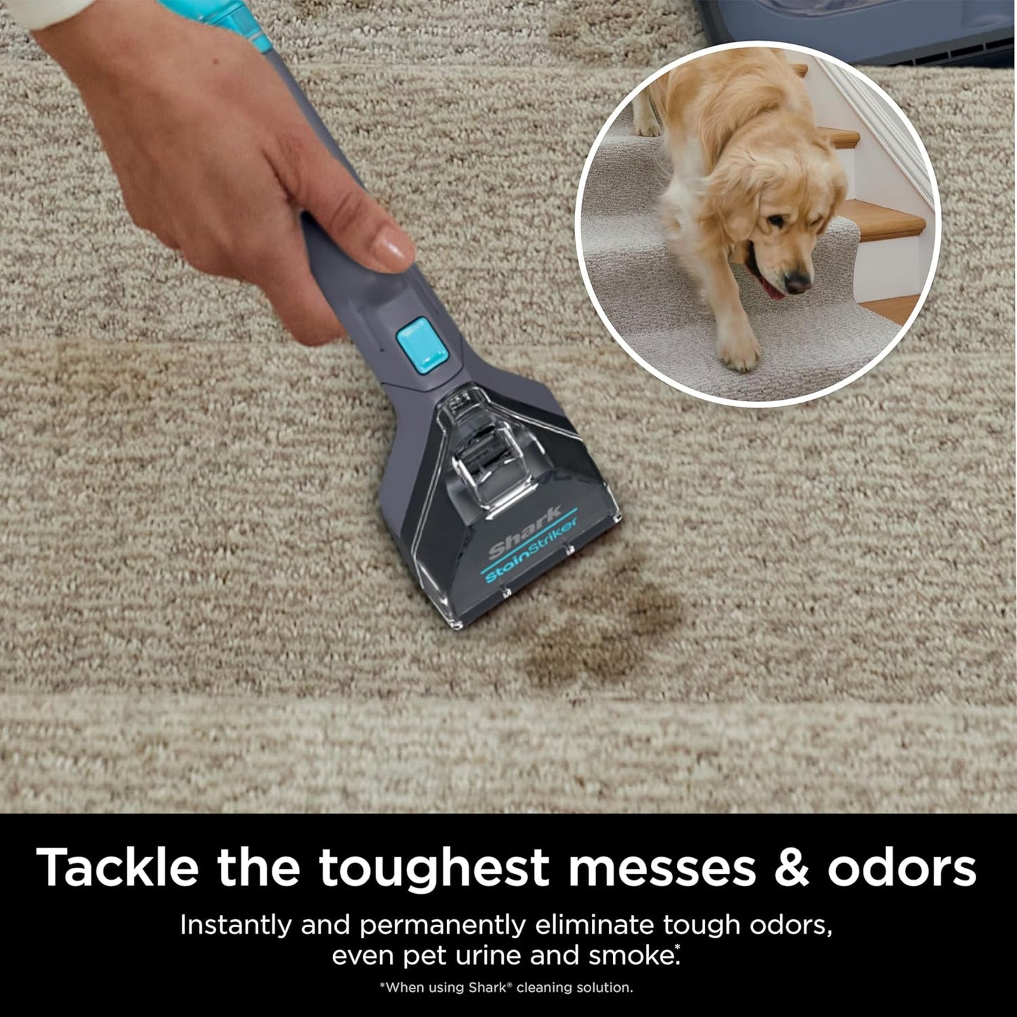 Shark StainStriker Portable Carpet Cleaner - XL Self-Cleaning Tool & Odor Remover | Perfect for Car Interior