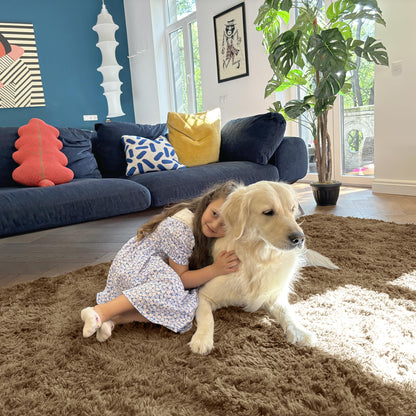 OLANLY Area Rugs for Living Room Bedroom, Machine Washable 4x5.9 ft Soft Fluffy Shaggy Bedside Rug, Indoor Floor Carpet for Kids Girls and Boys, Dorms, Nursery Rooms, Home Decor Aesthetic, Taupe