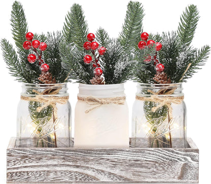 Skiennix Winter Mason Jar Centerpiece - LED Lights & Artificial Plants | Set of 3 Farmhouse Decor