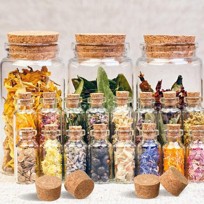 Hoteam 12 Pieces Large Tapered Cork Stoppers Soft Wine Plugs Lids Big Round Bottle Corks for Crafts Replacement Jars Bottles, 2.5 x 2.22 x 1.48 Inch