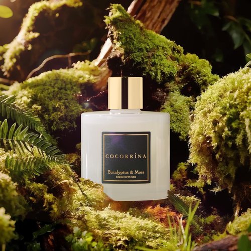 Cocorrína Reed Diffuser Sets- Eucalyptus & Moss Scented Diffuser with Sticks Home Fragrance Reed Diffuser for Bathroom Shelf Decor