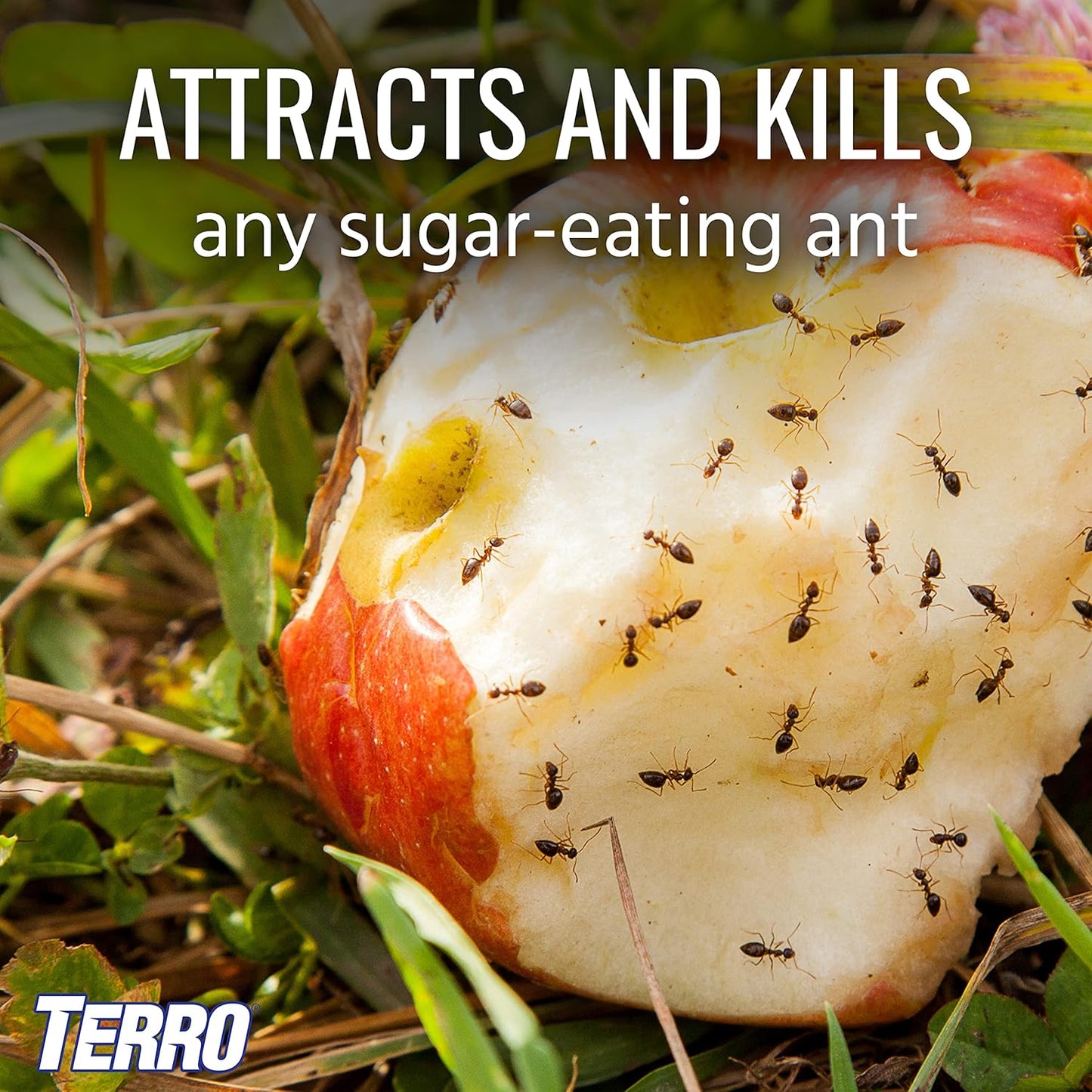 TERRO Outdoor Liquid Ant Bait Stakes - Effective Ant Control | 2 Pack
