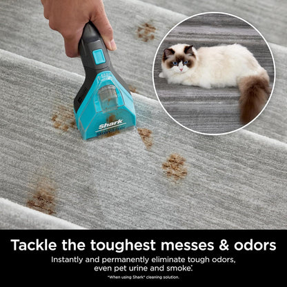 Shark StainStriker OXY Carpet Cleaner - Odor Eliminator for All Carpets & Upholstery | 32oz