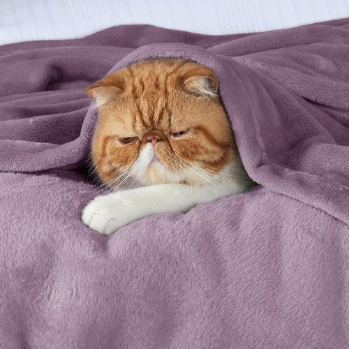 Bedsure GentleSoft Fleece Blanket - Lightweight Plush Cozy Twin Size Fog Purple, 60x80 Inches