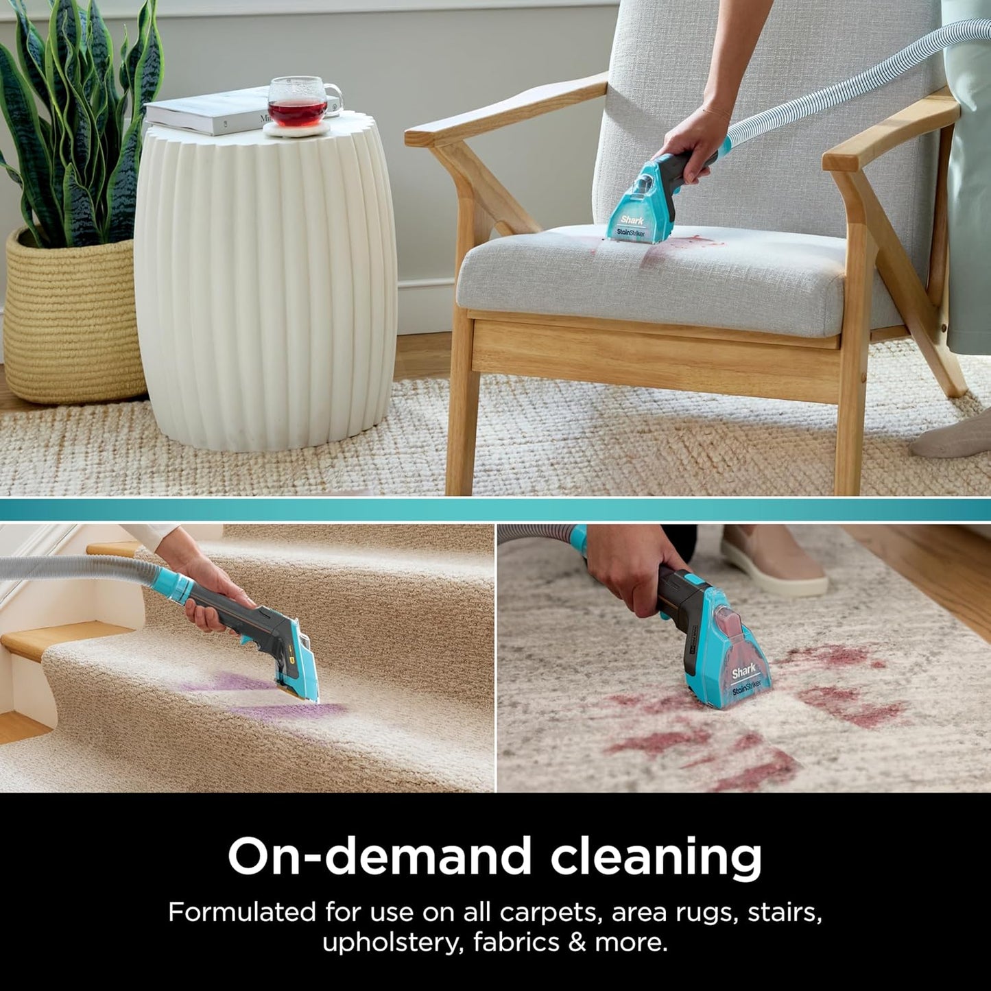 Shark StainStriker OXY Carpet Cleaner - Odor Eliminator for All Carpets & Upholstery | 32oz
