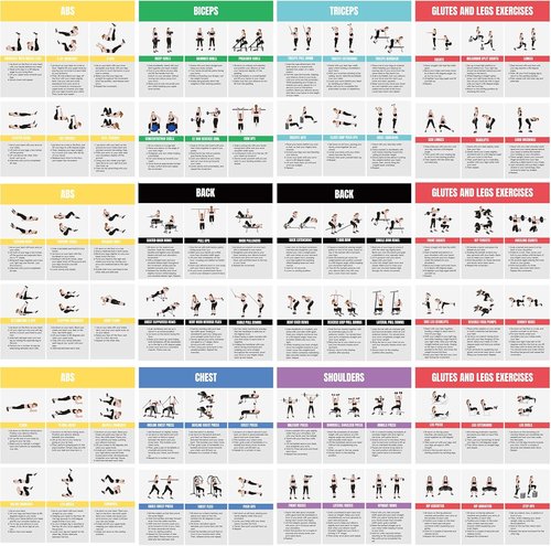 Full Body Workout Poster - Home Gym Exercise Chart for Glutes, Legs, Back & Abs | Strength Training Guide
