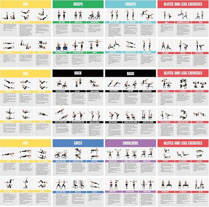 Full Body Workout Poster - Home Gym Exercise Chart for Glutes, Legs, Back & Abs | Strength Training Guide