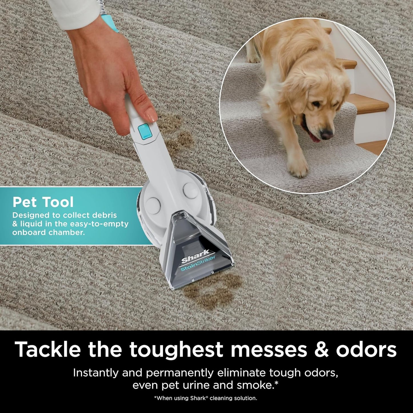 Shark StainStriker Portable Carpet Cleaner - Pet Mess Extractor & Odor Remover | White PX201