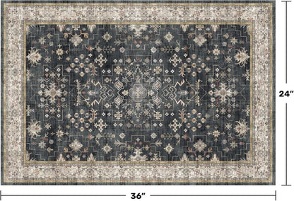 Skiennix Black Washable Entry Rug - Non-Slip Rubber Backing | Stain & Fade Resistant, 2x3 Size