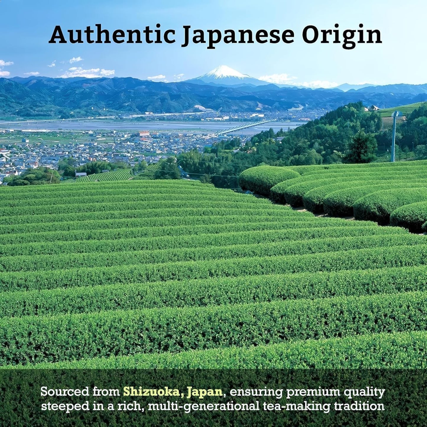SUGIMOTO TEA Matcha Powder - Ceremonial Grade "KOCHI" - Premium Japanese Green Tea | 1.05 oz (30 g)