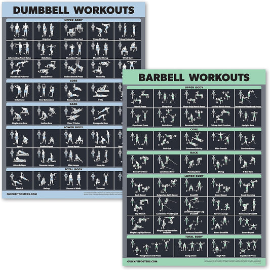 Palace Learning Dumbbell & Barbell Exercise Poster Set - Laminated 2 Chart Workout Guide | 18” x 24”