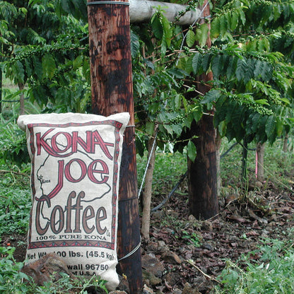 Kona Joe Gourmet Coffee Blend, Medium Roast Ground Coffee (8 oz)