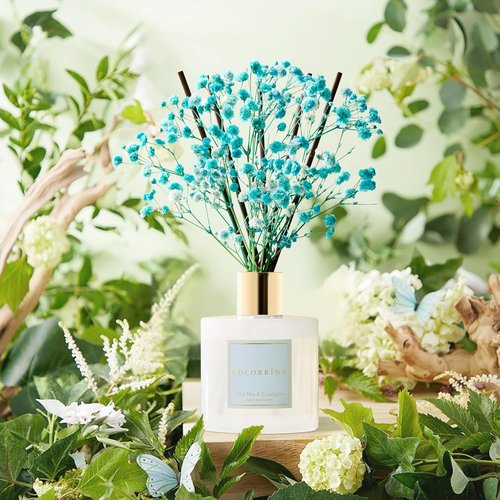 Cocorrína Reed Diffuser - Wild Mint & Eucalyptus | 6.7 Fl. Oz Set with Sticks & Preserved Baby's Breath for Home Decor