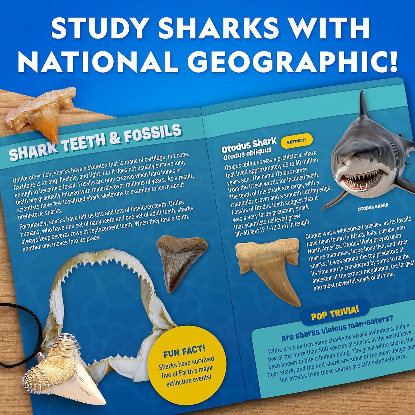 National Geographic Shark Tooth Dig Kit - Excavate Replica Shark Fossils | STEM Activity for Kids Ages 6-8