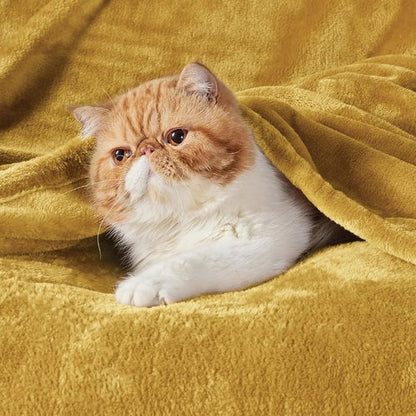 Bedsure Fleece Blanket - Soft, Lightweight Plush Queen Blanket in Gold Yellow | Cozy Microfiber, 90x90 Inches