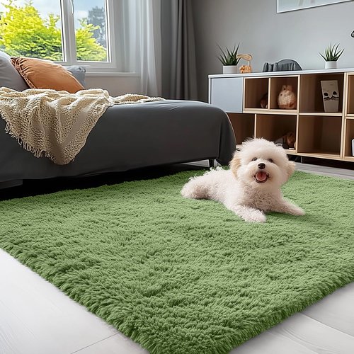 OLANLY 3x5 Machine Washable Small Bedside Rug, Soft Fluffy Shaggy Rugs for Living Room, Bedroom, Indoor Floor Carpet for Kids Girls and Boys, Preppy Dorms, Nursery, Home Decor Aesthetic, Green