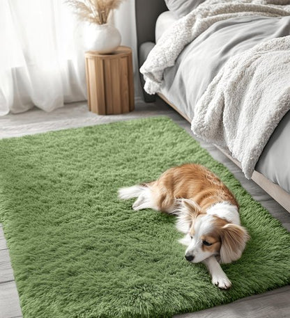 OLANLY 3x5 Machine Washable Small Bedside Rug, Soft Fluffy Shaggy Rugs for Living Room, Bedroom, Indoor Floor Carpet for Kids Girls and Boys, Preppy Dorms, Nursery, Home Decor Aesthetic, Green