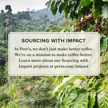 Peet's Coffee Ultra Concentrate - Instant Hot, Cold Brew or Iced Coffee, 100% Arabica, 8 Fl Oz (16 Servings)