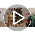 Green 7Ft Artificial Cedar Christmas Tree Slim Pencil Holiday Decor