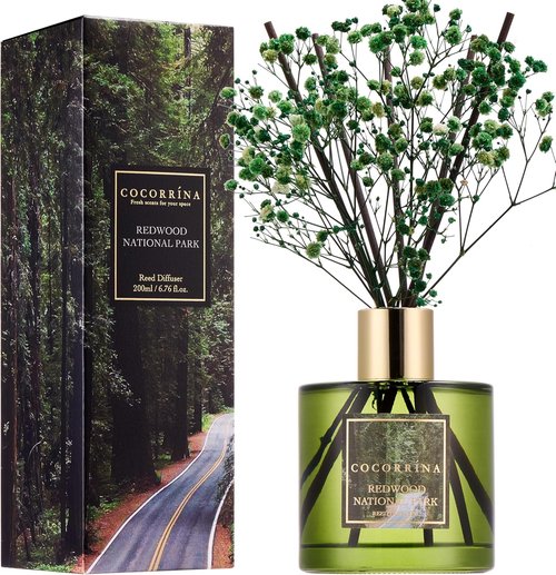 COCORRÍNA Reed Diffuser - Redwood National Park 6.7 Fl. Oz Set with 8 Sticks & Baby's Breath Decor
