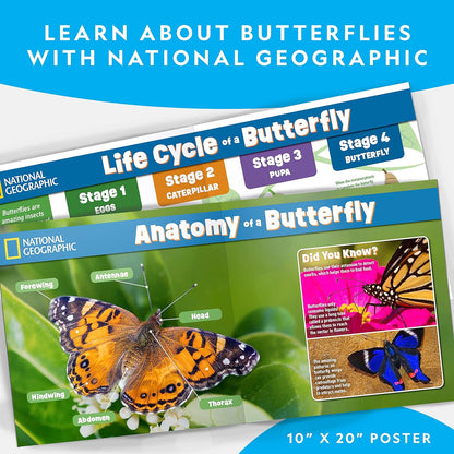 National Geographic Butterfly Growing Kit - Complete Habitat with 5 Caterpillars Voucher | Perfect Easter Gift for Kids