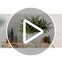 Artificial Norfolk Pine Branches with Pine Cones - 6 Pack, 18 Inches