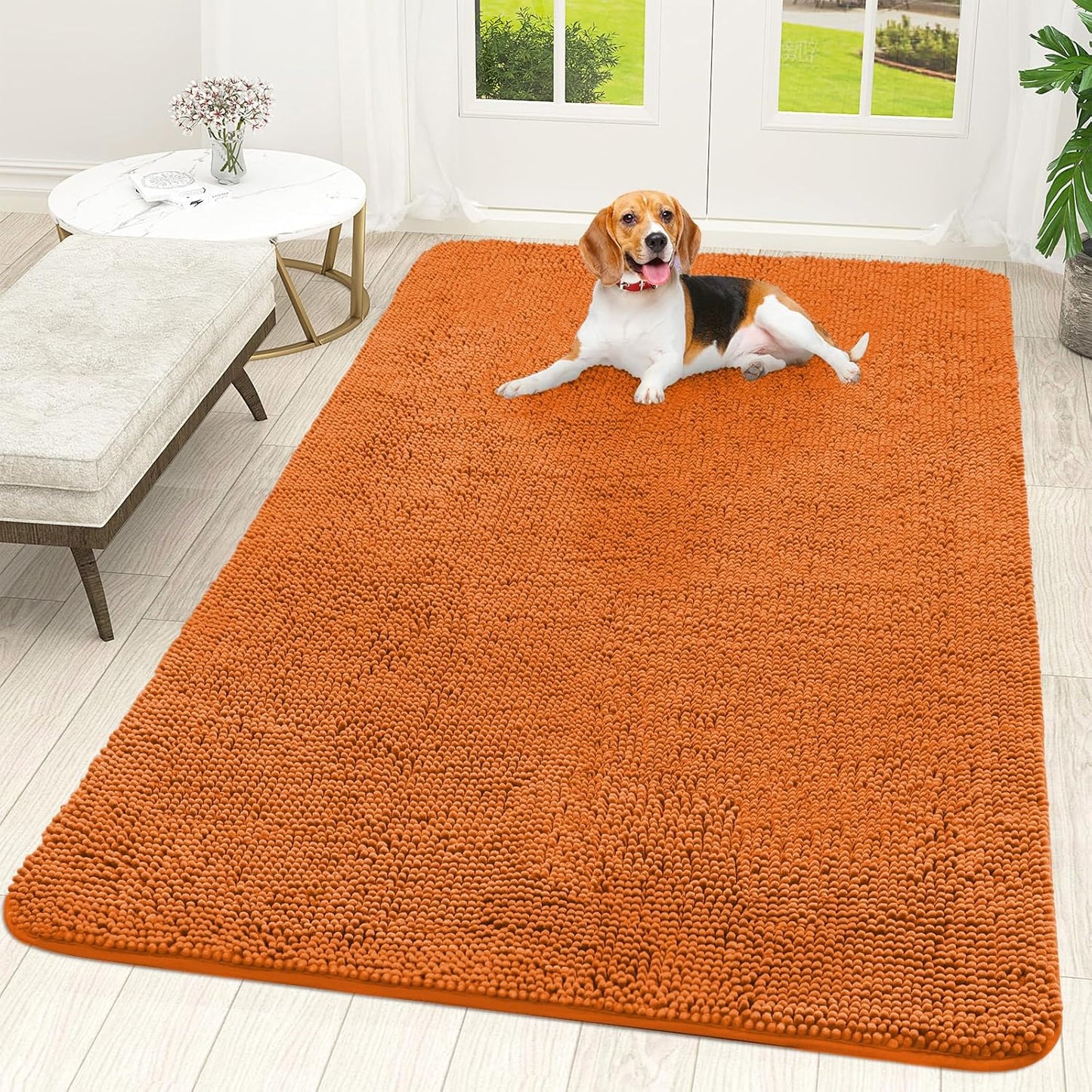 OLANLY Dog Door Mat - Absorbent Non-Slip Chenille Mat for Muddy Paws | 70x46, Quick Dry Indoor Carpet, Clay