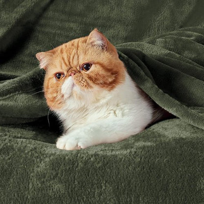 Bedsure Fleece Blanket - Soft Olive Green Queen Size Plush Microfiber, 90x90 Inches for Cozy Comfort