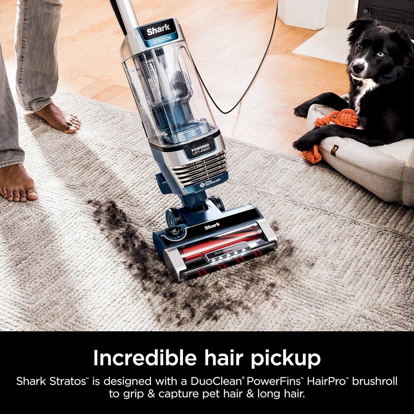 Shark AZ3002 Stratos Upright Vacuum - DuoClean PowerFins & HairPro Technology, Navy (Renewed)