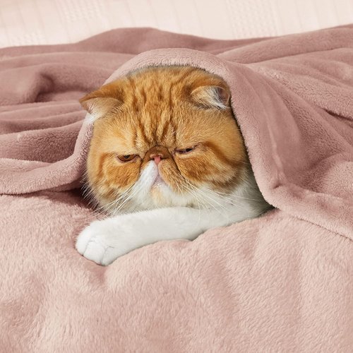Bedsure GentleSoft Fleece Blanket - Lightweight Plush Cozy Twin Size Dusty Pink, 60x80 Inches