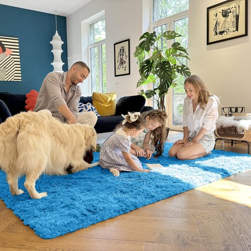 OLANLY 6x9 Machine Washable Large Area Rugs for Living Room, Bedroom, Soft Fluffy Shaggy Bedside Rug, Indoor Floor Carpet for Kids Girls and Boys, Dorms, Nursery, Home Decor Aesthetic, Bright Blue