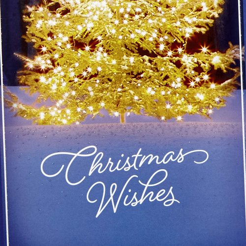 Hallmark Pack of Money or Gift Card Holders, Christmas Wishes (10 Cards with Envelopes)