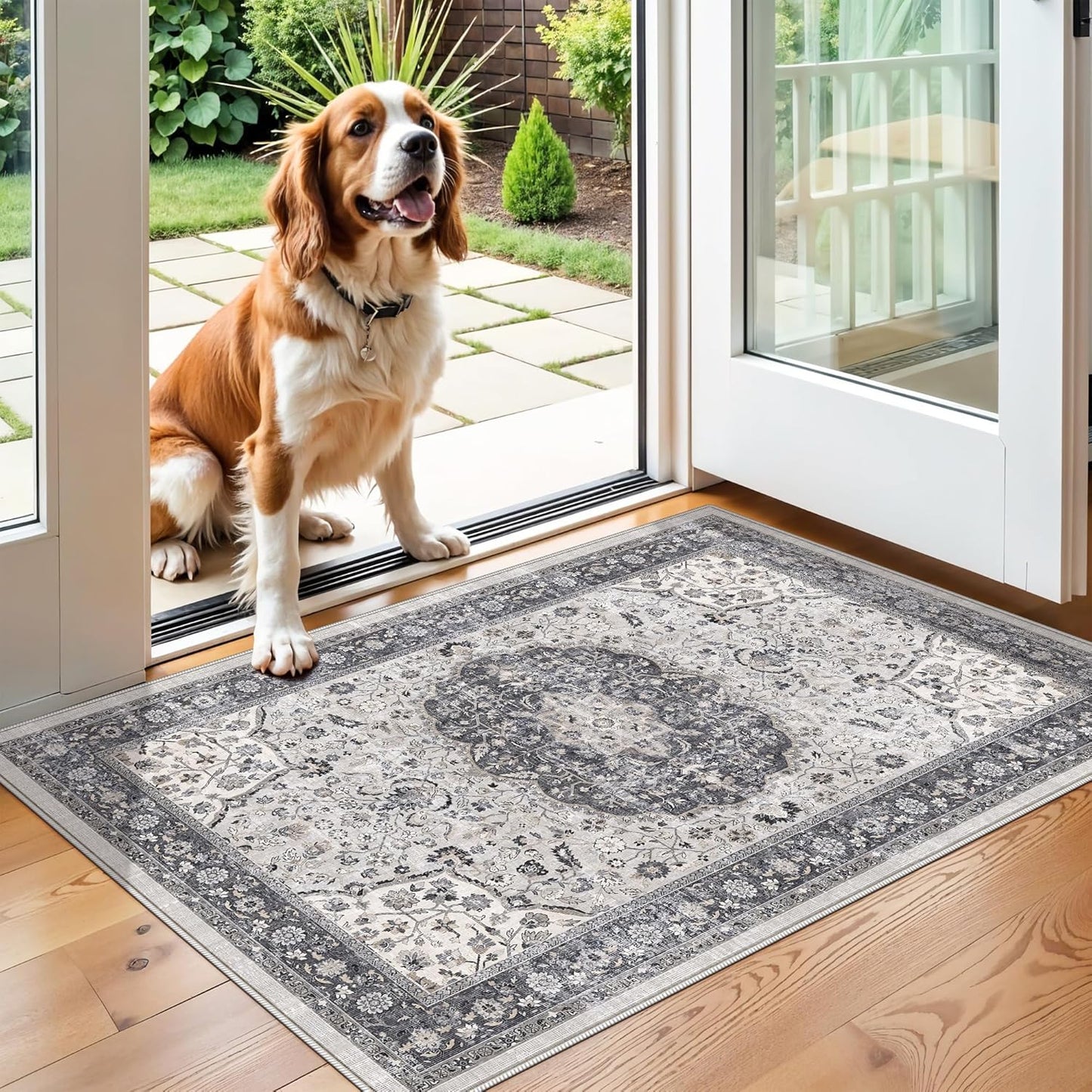 Regine Switzerland Washable 2x3 Entryway Area Rug - Vintage Soft Thin Non-Slip Carpet in Grey