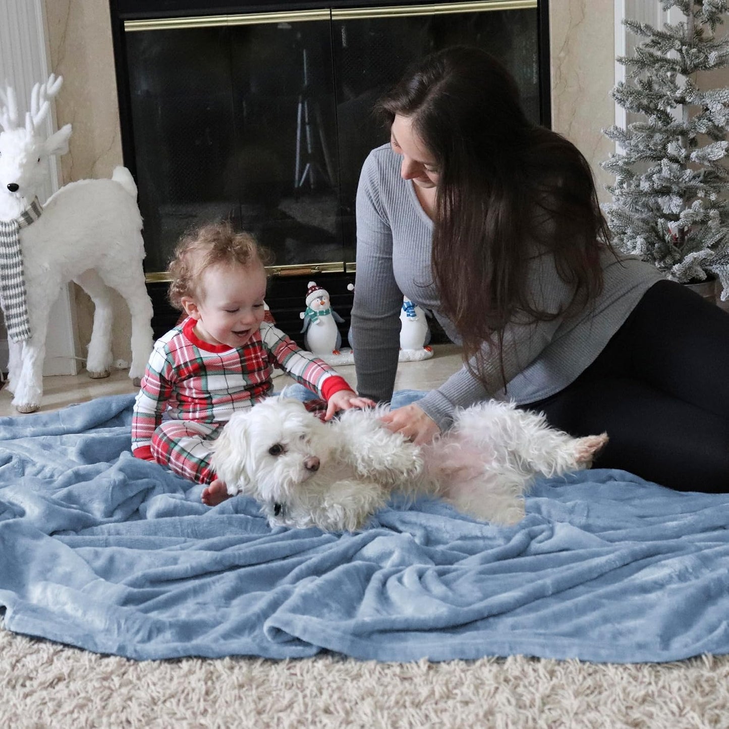 Bedsure GentleSoft Fleece Throw Blanket - Lightweight Plush Cozy Blanket for Couch, Light Blue, 50x60 Inches