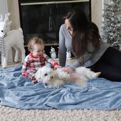 Bedsure GentleSoft Fleece Throw Blanket - Lightweight Plush Cozy Blanket for Couch, Light Blue, 50x60 Inches
