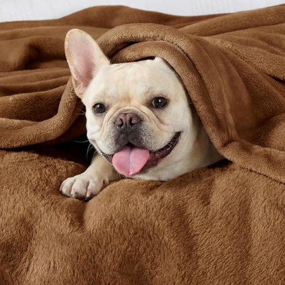 Bedsure GentleSoft Fleece Bed Blanket - Soft, Lightweight, Plush Comfort in Full Size Orange | 84x90 Inches