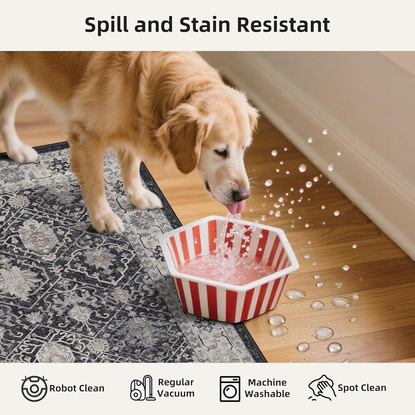 Skiennix Washable Kitchen Floor Mats - Non-Slip Water-Resistant Runners | Soft Decorative Rugs (2x3, 2x4, 2x5, 2x6, Black)