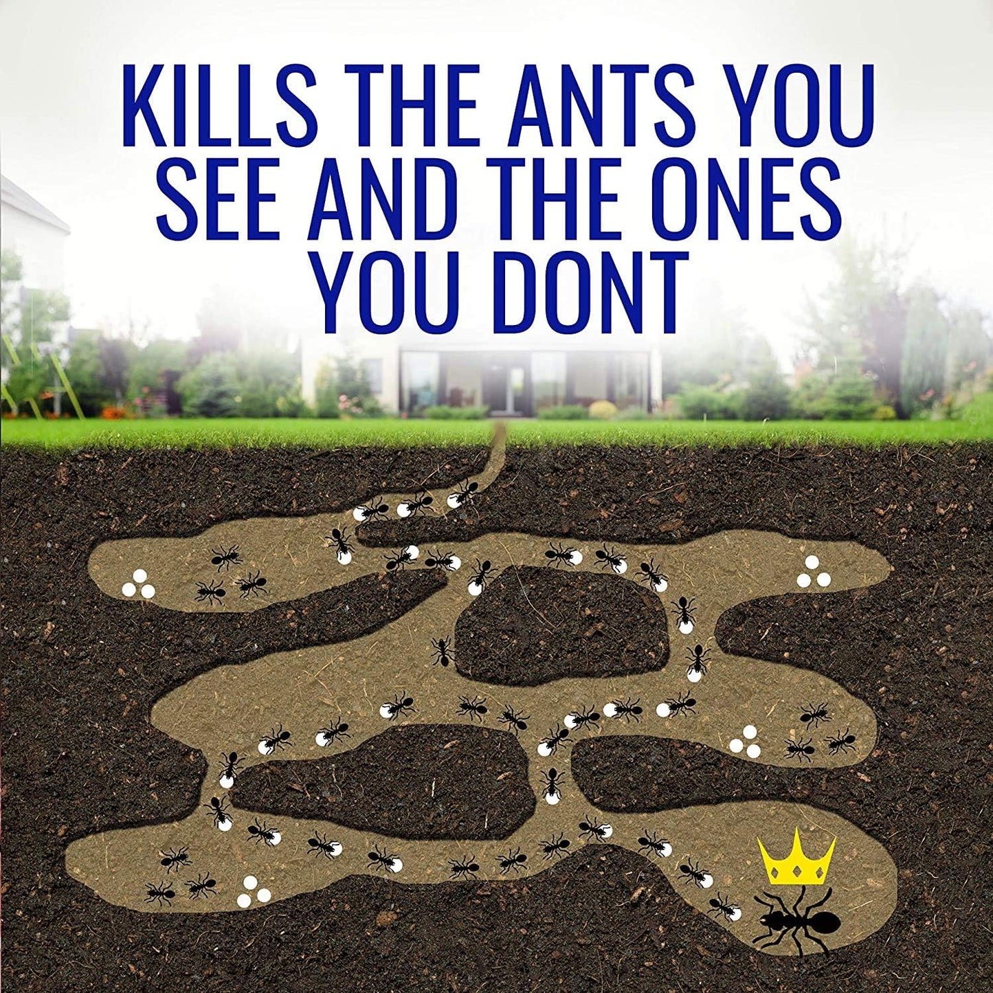 Terro Ant Bait Stations - Effective Liquid Formula for Quick Pest Control | 8 Pack