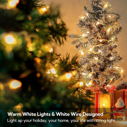 Skiennix Clear Christmas Lights Set - 50 Count Mini String Lights | Warm White Indoor Decoration, 13 Feet