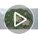 Frog Bath Mat 24x32 Inch, Cute Lotus Leaf Bathroom Rug, Green, Non Slip