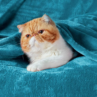 Bedsure Teal Blue Fleece Blanket - Soft, Lightweight 300GSM Plush Throw for Bed, Sofa, Travel, Camping 50x70