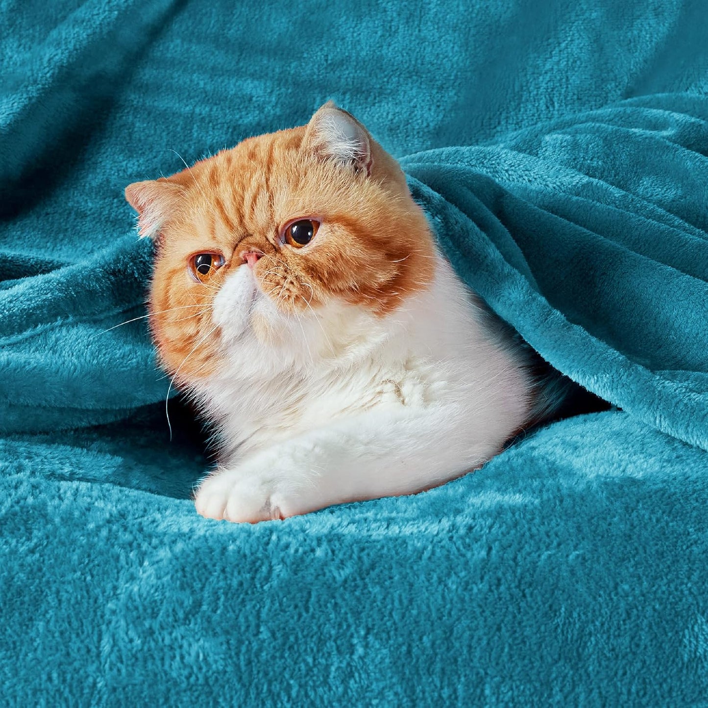 Bedsure GentleSoft Fleece Blanket - Queen Size Teal Plush Microfiber, Soft & Cozy 90x90 Inches