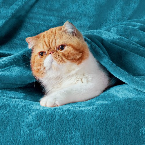 Bedsure GentleSoft Bedding Fleece Blanket for Girls and Boys - Soft Cozy Cute Small Throw Blankets for Travel, 43x55 Inches,Teal Blue